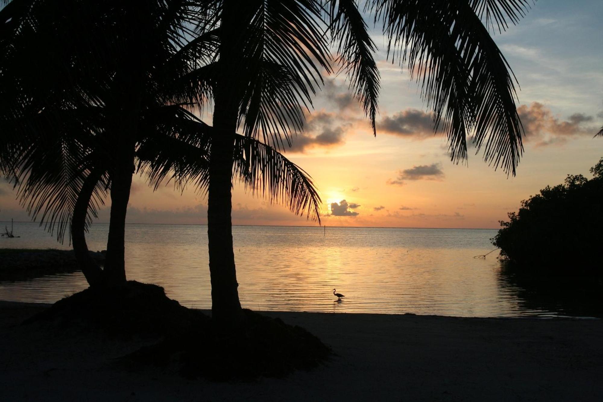 Costa De Cocos Hotel ซาคาลัก ภายนอก รูปภาพ