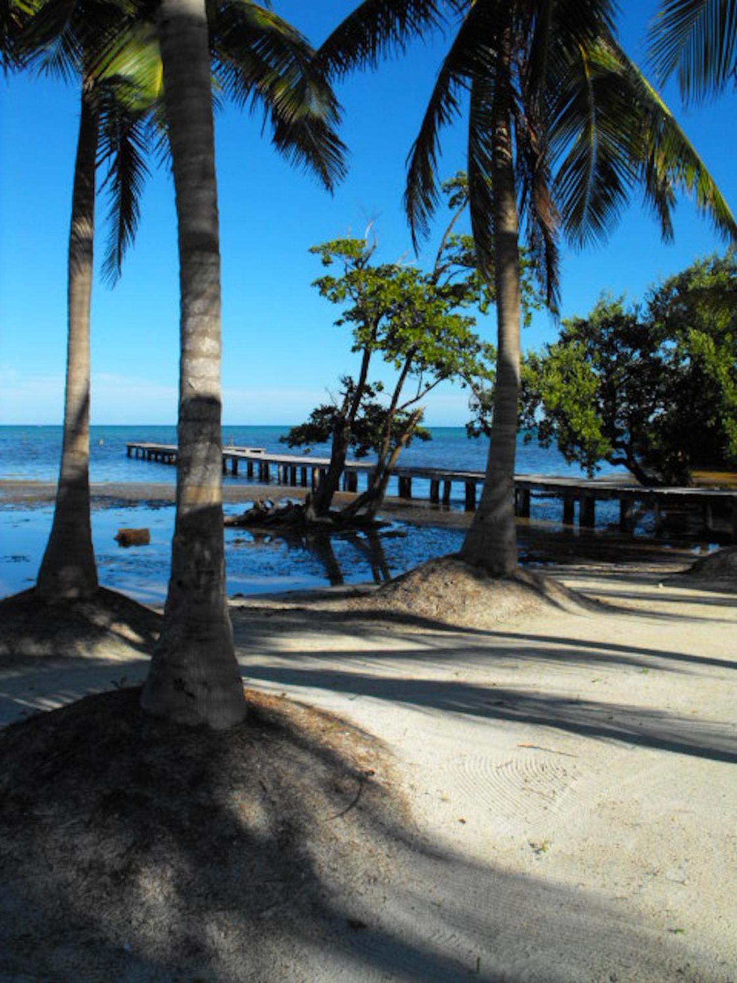 Costa De Cocos Hotel ซาคาลัก ภายนอก รูปภาพ