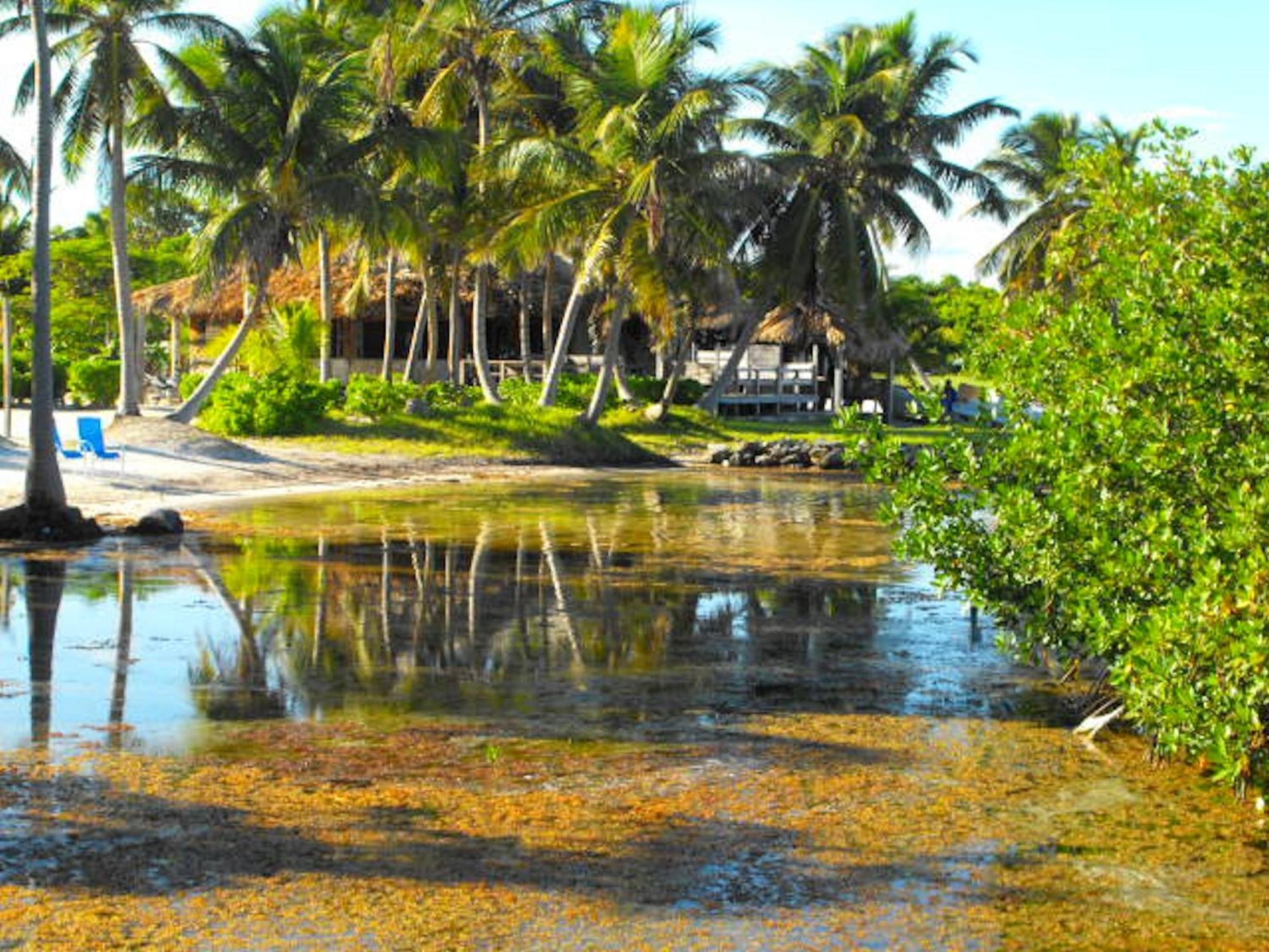 Costa De Cocos Hotel ซาคาลัก ภายนอก รูปภาพ
